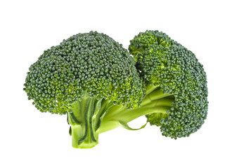 Fresh broccoli isolated on a white background