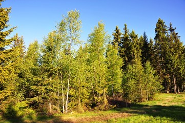 Fototapeta premium オスロ