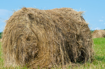 haystack on the field