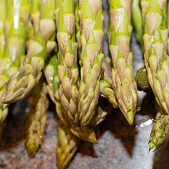 gr&uuml;ner Spargel