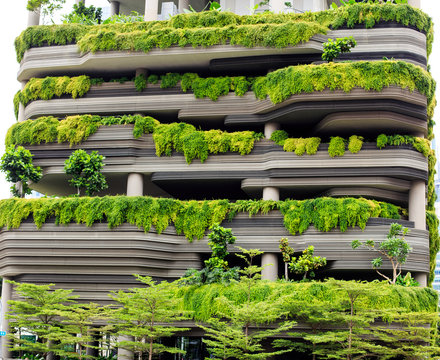 Green parking in modern city of Singapore