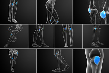 3d rendering medical illustration of the patella bone