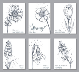 Collection of 6 cards with hand drawn spring flowers