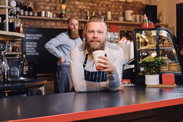 Bearded barista male at bar stand in a coffee shop.