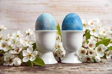 Easter eggs in egg holder with white blossom in background 