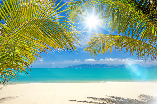 Ferien, Tourismus, Glück, Freude, Ruhe, Auszeit, Meditation: Traumurlaub an einem einsamen Strand in der Karibik :) 