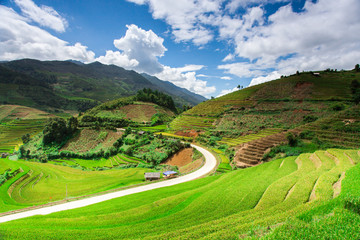 Rice fields at Northwest Vietnam