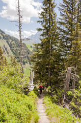 Grindelwald, Berner Oberland, First, Bort, Waldspitz, Wandwerg, Wanderer, Blumenweg, Alpen, Schweizer Berge, Sommer, Schweiz