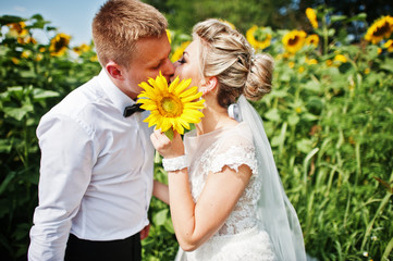 Wedding couple at sunflowers field in love.