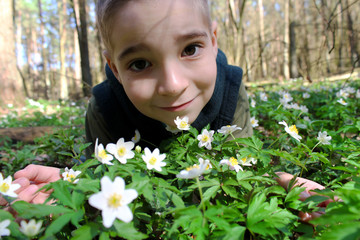 boy lies on a flower meadow