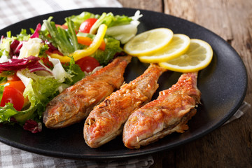 Delicious fish red mullet with fresh mix vegetable salad close-up. Horizontal