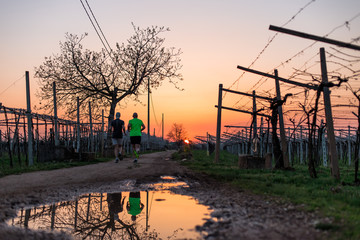Sunset in the hills of an italian countryside