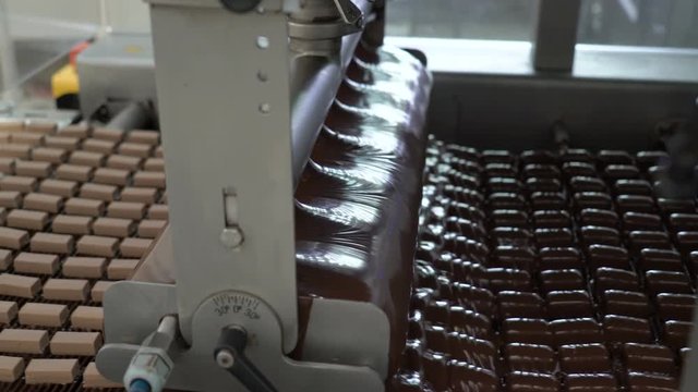 Production line for the production of chocolates. Candy covered with chocolate. Sweets move along the conveyor. Panorama.