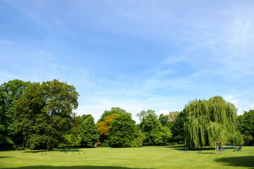 Fototapeta na wymiar Green beautiful park and blue sky