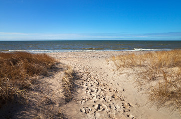 Dunes at the Baltic sea.