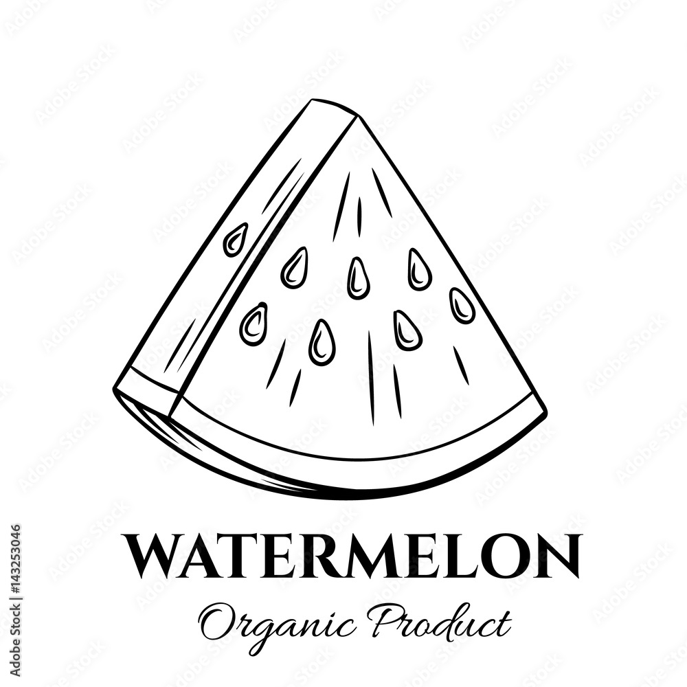 Poster hand drawn watermelon icon. - Posters