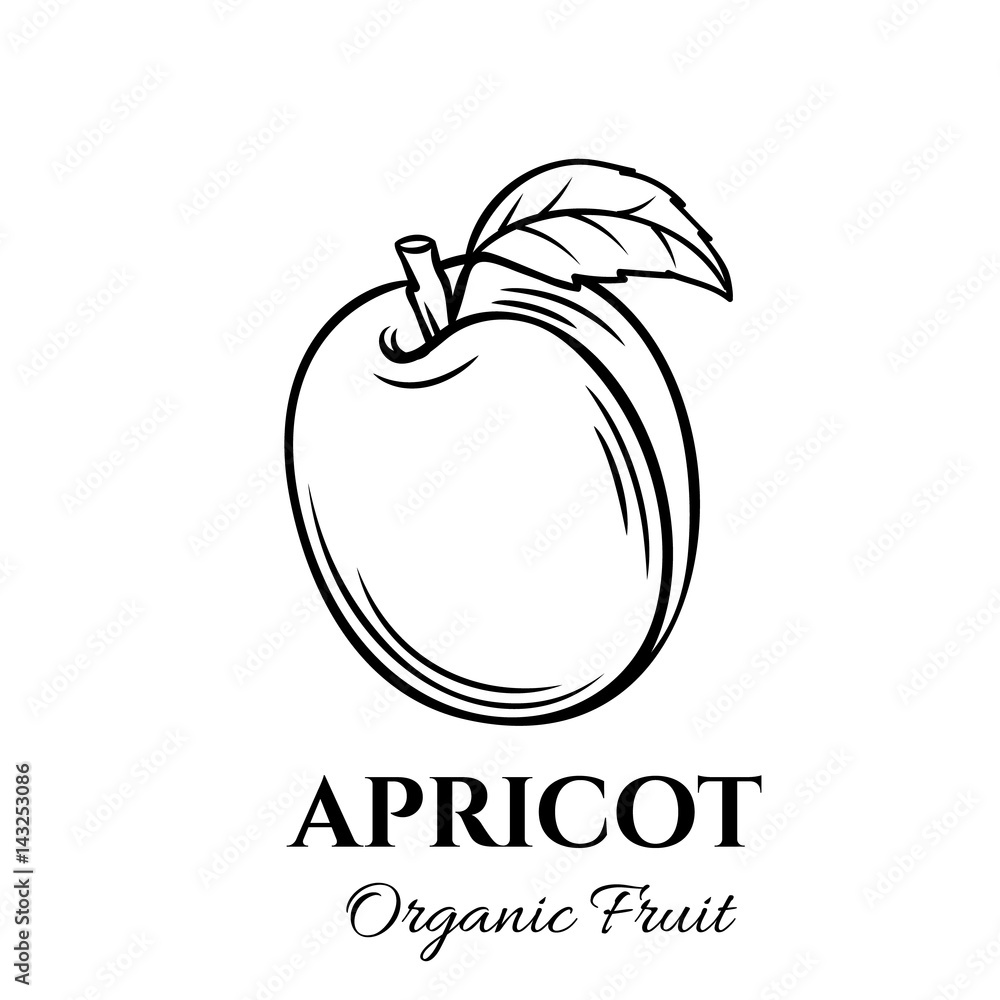 Wall mural hand drawn apricot icon. - Wall murals
