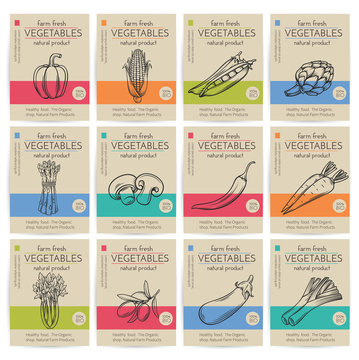Hand drawn vegetables posters set.