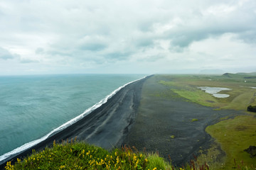 Black beach in Iceland. Dyrhalaey.
