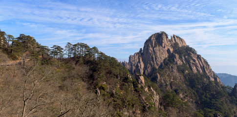 Landscape of Huangshan (Yellow Mountains). Huangshan Pine trees. Located in Anhui province in eastern China. It is a UNESCO World Heritage Site, and one of China's major tourist destinations.