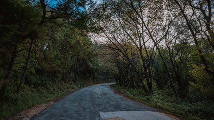 Street and beautiful natural scenery.