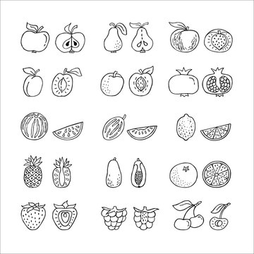 Fruit hand drawn icon set in line style