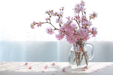 Naklejka premium Pink cherry blossoms in vase on wooden table in the sunlight.