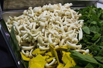 white shimeji  mushroom with vegetable on silver tray