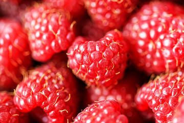Fresh delicious raspberry background close up