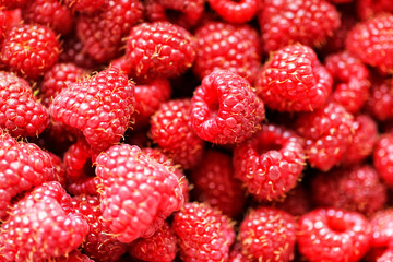 Fresh raspberry background closeup