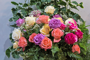 Abstract background of colorful flowers. Close-up.