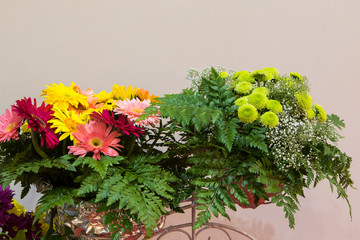 Abstract background of colorful flowers. Close-up.