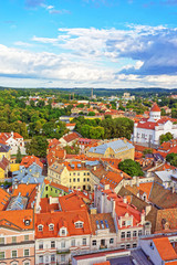 Fototapeta na wymiar Rooftop to Cathedral of Theotokos in Vilnius