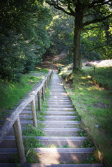 National park Veluwezoom