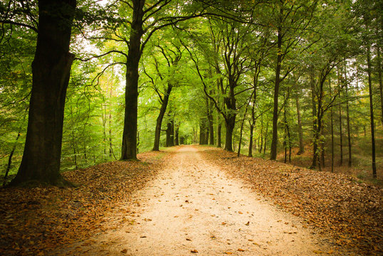 Loenen, Veluwe