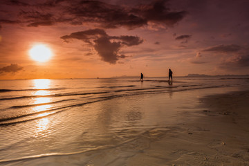 people meet the sunset on the beach