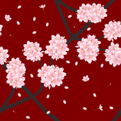 Sakura Cherry Blossom Flower on Red Background. Vector Illustration