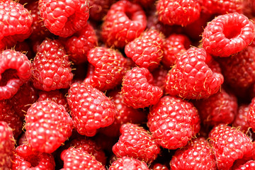 Delicious fresh raspberry background close up