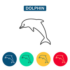 Dolphin Vector icon