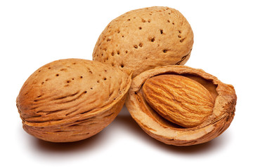 Almonds isolated on white.