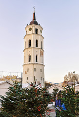 Christmas tree and Vilnius Cathedral bell tower Lithuania before Xmas