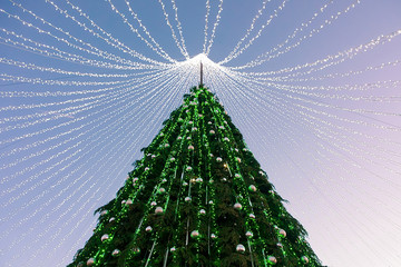 Christmas tree installed at Vilnius square at Advent