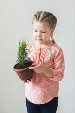 Cute child holding a potted plant