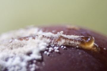 Moldy Plum