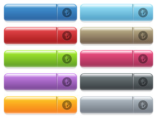 Turkish Lira sticker icons on color glossy, rectangular menu button