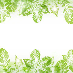 Spring leaves background