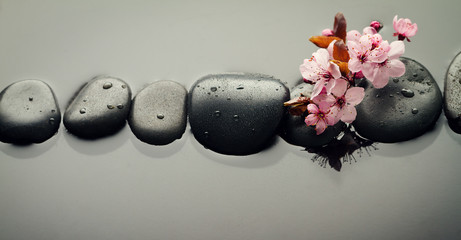 Beautiful pink Spa Flowers on Spa Hot Stones on Water Wet Background. Side Composition. Copy Space. Spa Concept. Dark Background.