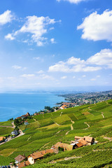 Swiss chalets near Lavaux Vineyard Terrace hiking trail Switzerland