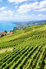 Swiss village near Lavaux Vineyard Terraces hiking trail of Switzerland