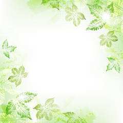 Spring leaves background